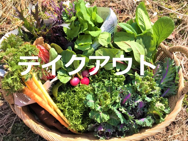 那須高原野菜セット こたろう野菜の詰合せm 那須高原こたろうファーム