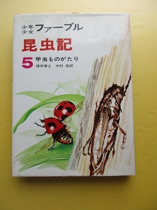 ファーブル昆虫記 ５甲虫ものがたり コヤマ経営ブックス