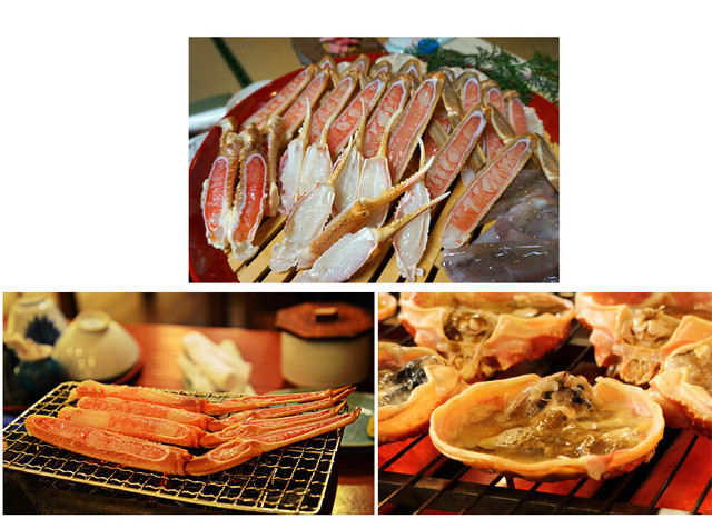 ズワイガニ 松葉ガニ 生 ボイル 冷凍 選択可能 境港 かに 訳あり 蟹 1 0kg前後 国産 送料無料 ギフト 贈答 焼きガニ カニすき 産地直送 ずわい蟹 越前がに アルディーオンラインストア