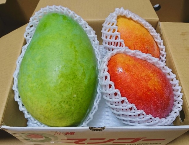 食べ比べセット キーツマンゴー アップルマンゴーセット ２kg 赤嶺mango