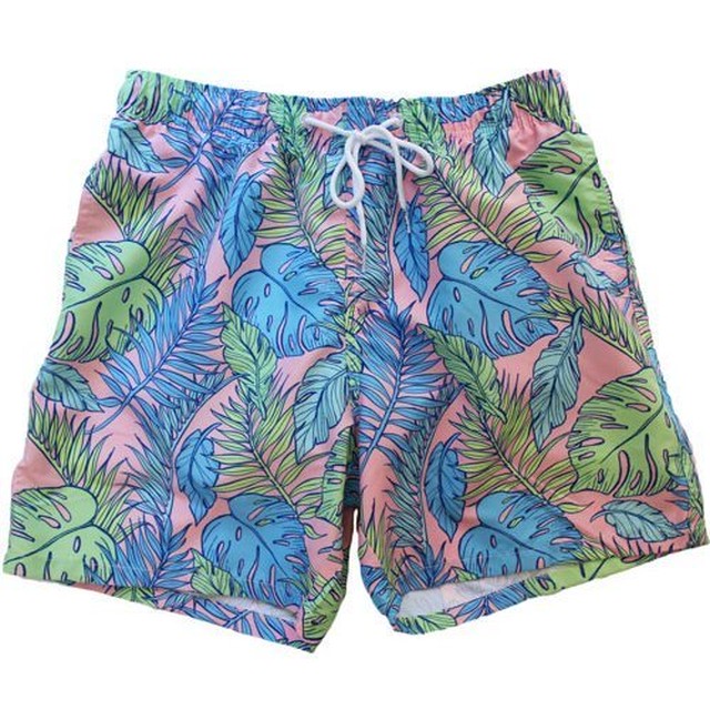 Boardies ボーディーズ メンズ水着 Swim Shorts スイムショーツ イギリスブランドのスイムウェア Palmtopia Escargot Circus