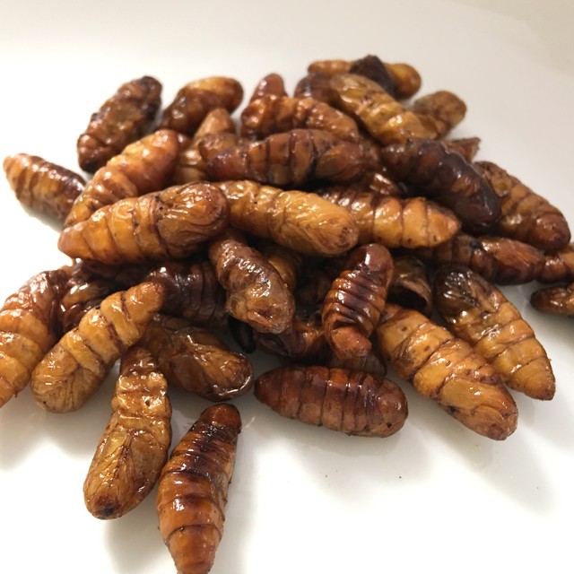カイコのサナギ素揚げ15g 昆虫食べ比べシリーズ スタミナ本舗