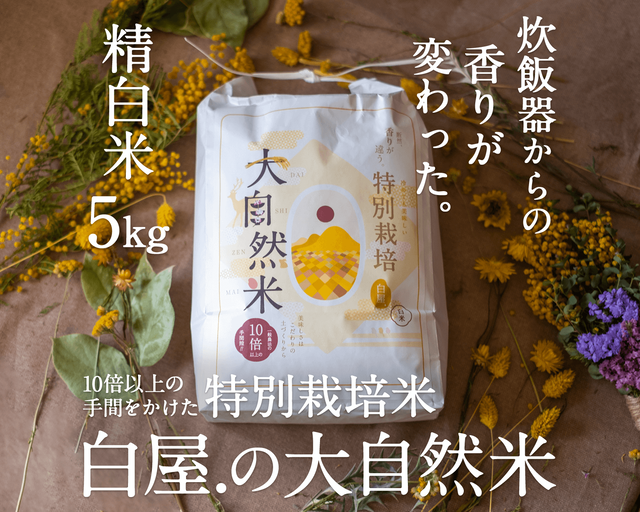 大自然米【5kg】精白米