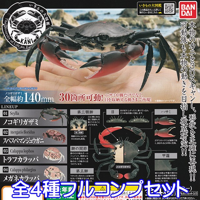 かに Kani いきもの大図鑑 蟹 カニ 生き物 動物 模型 フィギュア 3dスキャン 形状再現 ガチャ バンダイ 全４種フルコンプセット お宝市場ｂａｓｅ店 フィギュア ガチャガチャ ガチャポン 食玩 プライズ アニメ グッズ 模型 ミニチュア