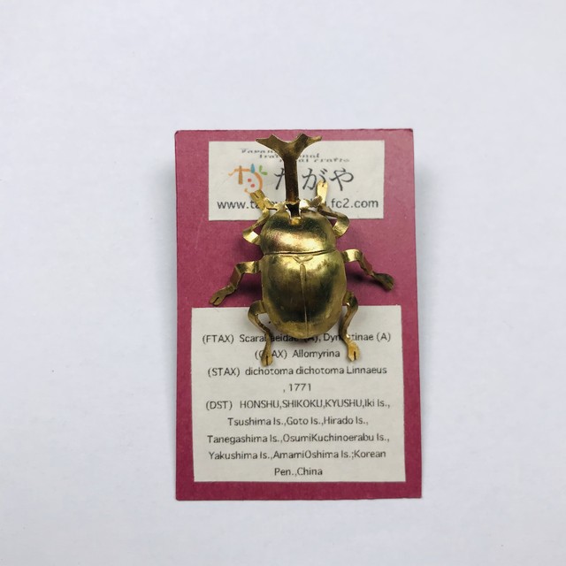 【たがや】 ブローチ「カブトムシ」
