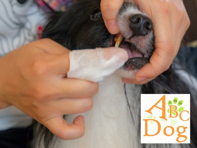 マジックゼオ デイリー動物歯ブラシ 犬猫用毎日の歯磨き粉 ジェルで簡単 すすぎ不要の天然ゼオライト歯磨き粉 犬用品 Abcdog