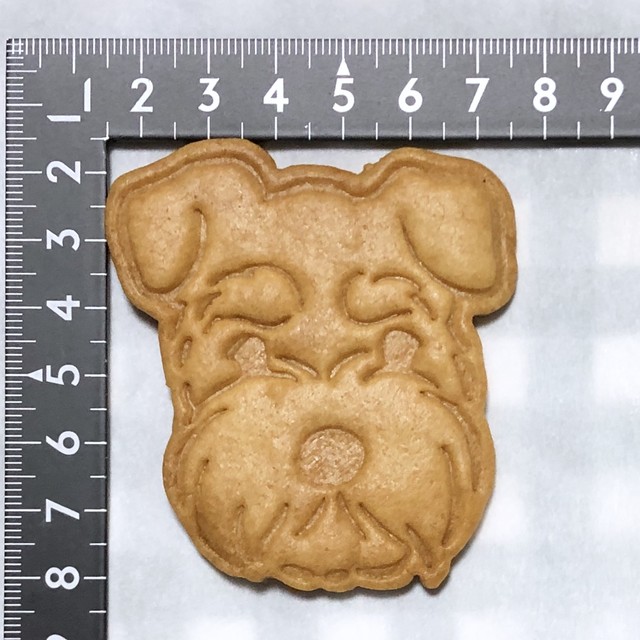 ミニチュアシュナウザー お顔のクッキー型 垂れ耳タイプ ヌイグルミ制作室ビアンカ