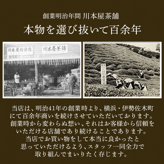 国産 徳島県産 ビワの葉茶 びわの葉茶 健康茶 100g 5袋 創業明治年間 川本屋茶舗
