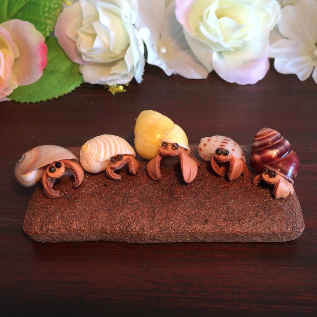 やどかりくんの探検隊 5匹の子供ヤドカリが整列しました Rikoyu やどかりウェディング 貝殻と革の小物 りこゆ