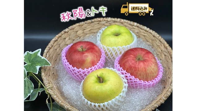 【限定2名様】りんご 2種食べ比べ 各5玉