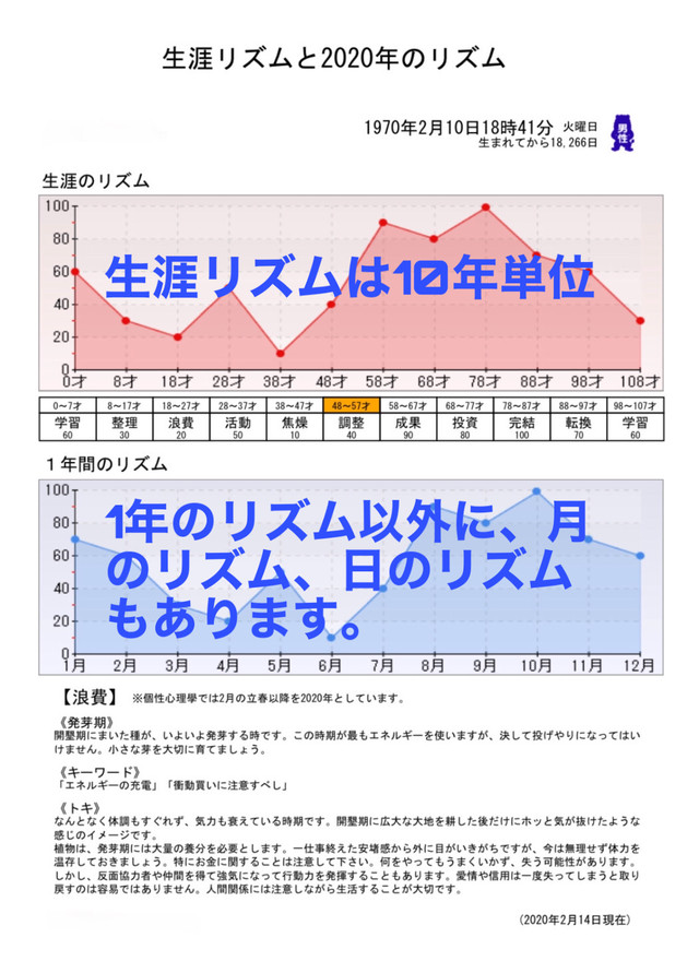 個性診断レポート 個性診断カルテ あなたの本質 生涯と1年のリズム 3枚セット Charanavisports