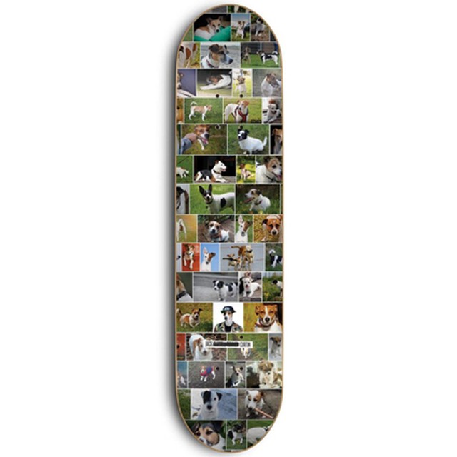 SKATE MENTAL CURTIN DOGS 8インチ