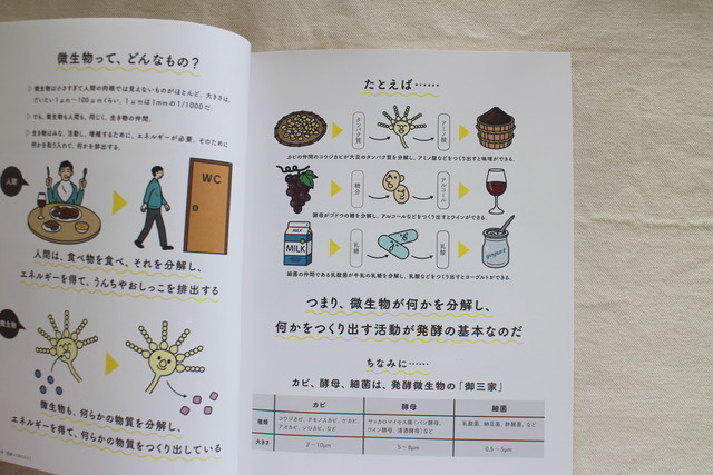 発酵はおいしい イラストで読む世界の発酵食品 Ferment Books おのみさ パイインターナショナル ブックスはせがわ Niigata Nagaoka Bookstore