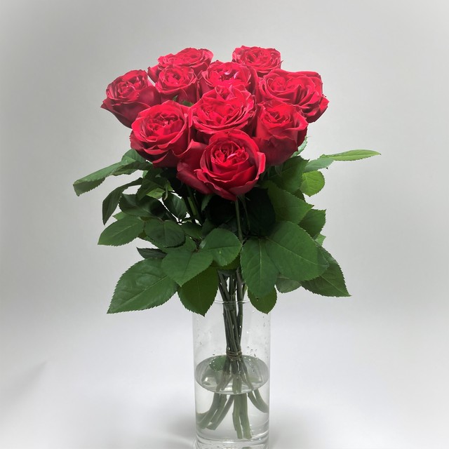 Rose レッドエレガンス 10本 (JAひまわり バラ部会)