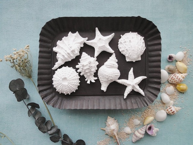 セット販売 アロマストーン 海の宝珠 貝殻 ヒトデ 7点 6種類から香りが選べる Humming Bird