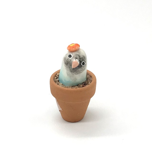 【きゃねこ】 鳥のお花屋さん④ブルーボタンインコ