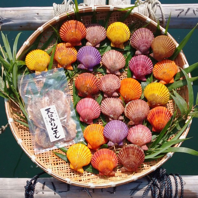 熊本県天草産 ヒオウギ貝 通常よりサイズ大きめ 25個入りとアジみりん干しのお得セット 送料無料 北海道 沖縄を除く 海付水産 ヒオウギ貝の養殖 直営産地直送通販ショップ 熊本県天草