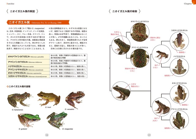 カエルの図鑑 日本のカエル 分類と生活史 全種の生態 卵 オタマジャクシ Caeru