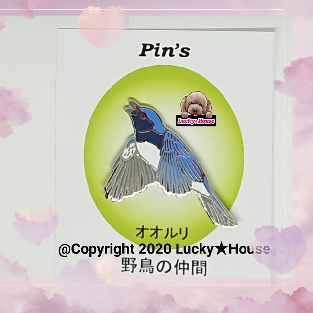 送料無料 野鳥グッズ オオルリ ピンバッチ ピンバッジ 鳥 動物 野生 かっこいい おしゃれ 可愛い 自然 バードウォッチング ハイキング 山 川 海 野鳥の会 Lucky House コレクターグッズ Shop