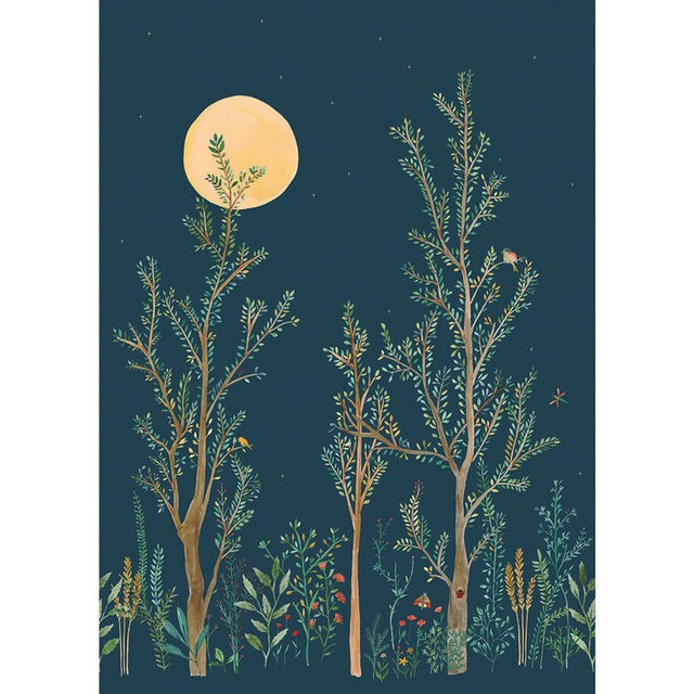 【CASELIO】MOONLIGHT WALK