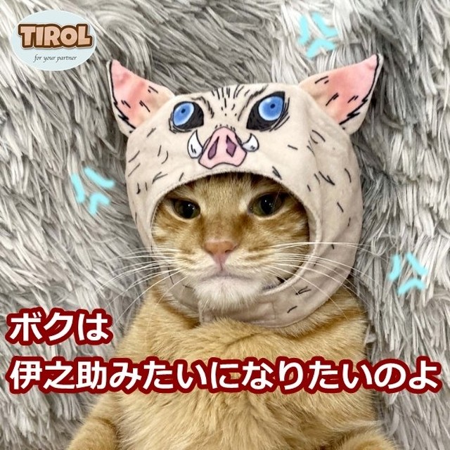 犬 猫 伊之助 かぶりもの 帽子 グッズ 変身 キャラクター コスプレ 鬼 滅猪 突猛進 嘴平 Cospa Fashion