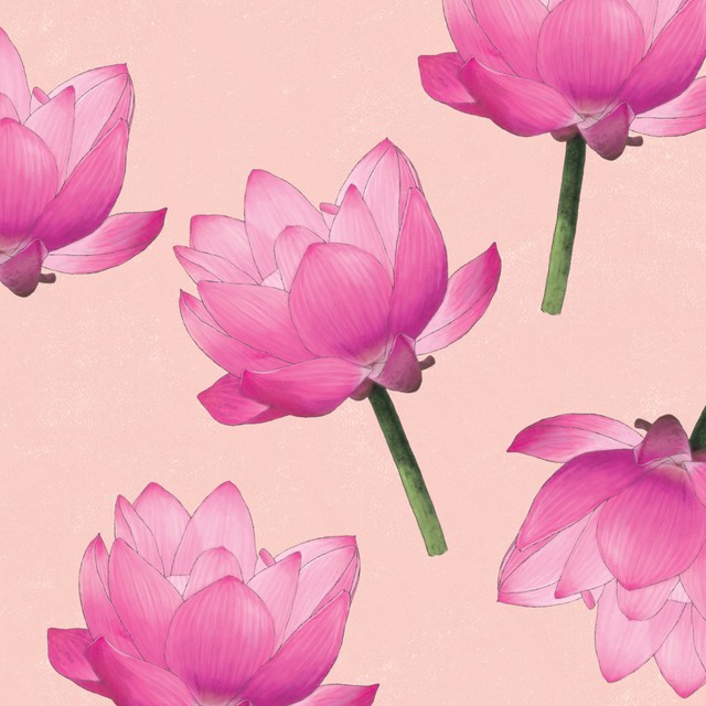 蓮の花 イラスト かわいい かっこいい無料イラスト素材集