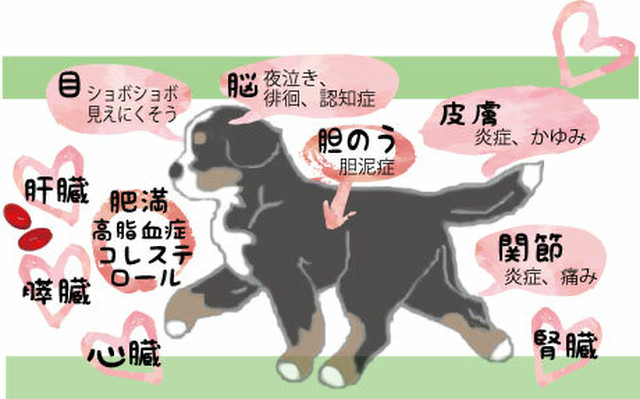 クリルオイル2340粒 エリン舎の大型犬用品販売サイト ペットにエコ