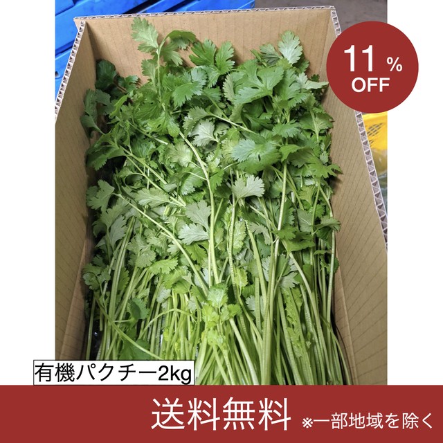 有機パクチー2kg 茨城県産の有機葉物野菜をレスキュー Tabete レスキュー掲示板