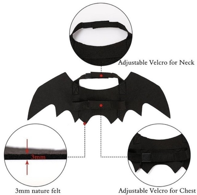 即納 在庫残り1点 ハロウィン ペット用 仮装アイテム チョーカー 首輪 仮装 ヴァンパイア イベント コスプレ 猫 ネコ インスタ 可愛い 吸血鬼 ドラキュラ コウモリ こうもり 蝙蝠 猫 ネコ ねこ イチゴちゃんショップ