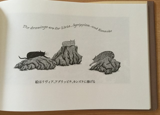 輝ける鼻のどんぐ 絵本 雲龍