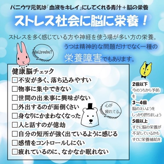 期間限定 脳の栄養サプリメント 銀座まるかん 未来の青汁ウルトラパニウツ元気 バリ産 オーガニック 生カカオ豆販売 バリカカオドットコム