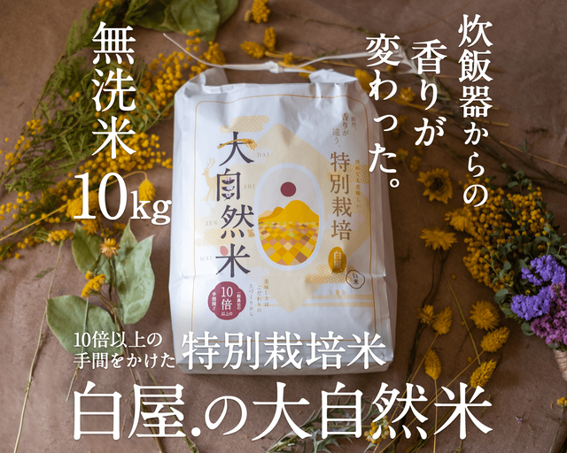 大自然米【10kg】無洗米