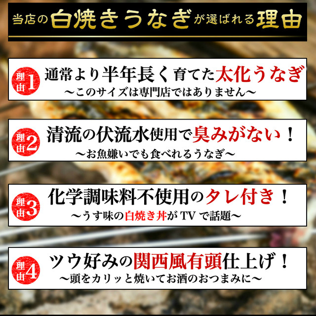 国産 蒲焼き 太化うなぎ 特大 メガ盛り ハーフカット600g 無添加タレ しびれる山椒 土用の丑 ギフト 贈答用 6人前以上 送料無料 土佐カツオとうなぎの通販 高知の旬をお届けする 池澤鮮魚オンラインショップ