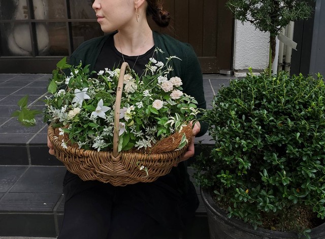 ミニバラのホワイトギャザリング寄せ植え 橋本種苗園