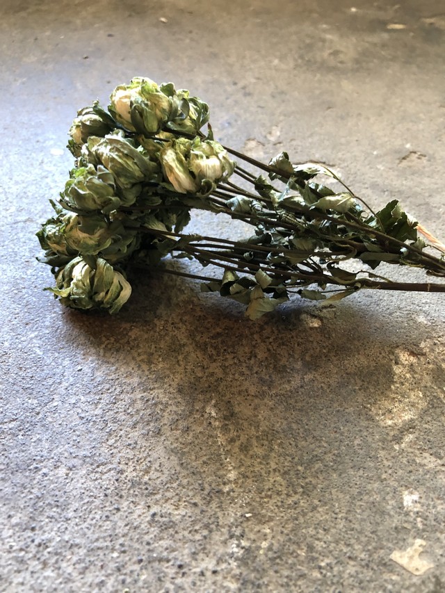 バラ オリエンタルエクレール 束 Memento Dried Flower Arrangement ドライフラワー通販
