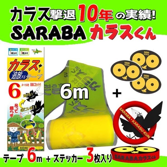 6m黄色テープ 札幌市時計台 函館山ロープウエイでも活躍 カラスの勝手にはさせない製品とその他