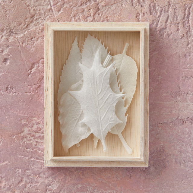 冬 Winter HA KO 5枚 箱入り