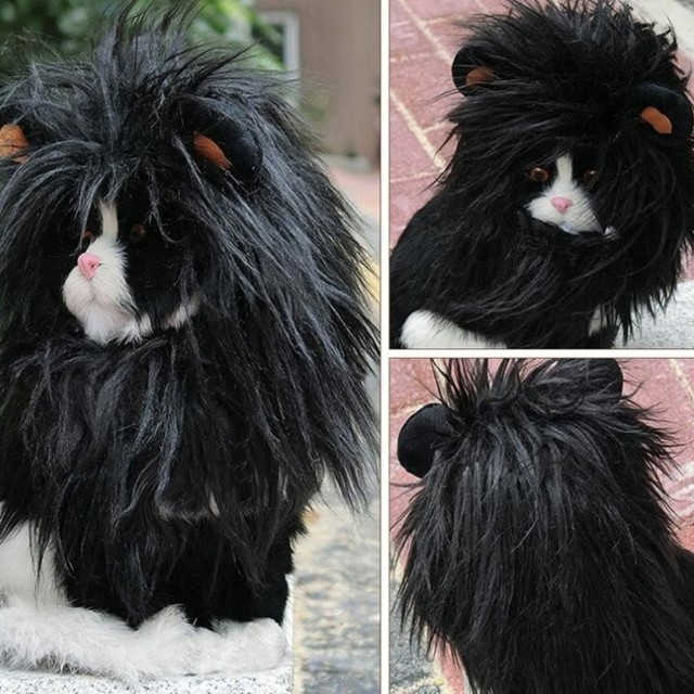 予約販売 オシャレなアニマルコスプレ 犬用 春服夏服秋服冬服 ペット リボン 犬服 犬グッズ ヘアバンド S M 撮影用 撮影会 誕生日 ギフト 可愛い かぶりもの 可愛い犬服 ペットアクセサリーなど ドッグウェアのお店 Dogwear Precious Dio