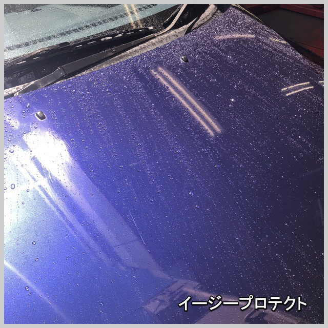 マイエターナル 塗面光沢復元剤500ml イージープロテクト ２層スポンジプレゼント 輝きま専科