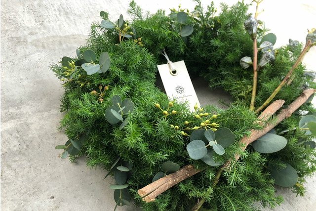 Chamaecyparis pisifera #01