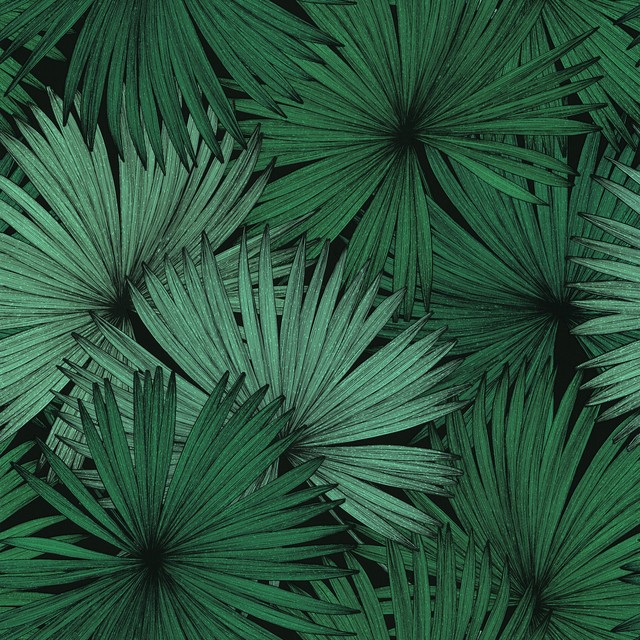 【CASELIO】JUNGLE COCONUT