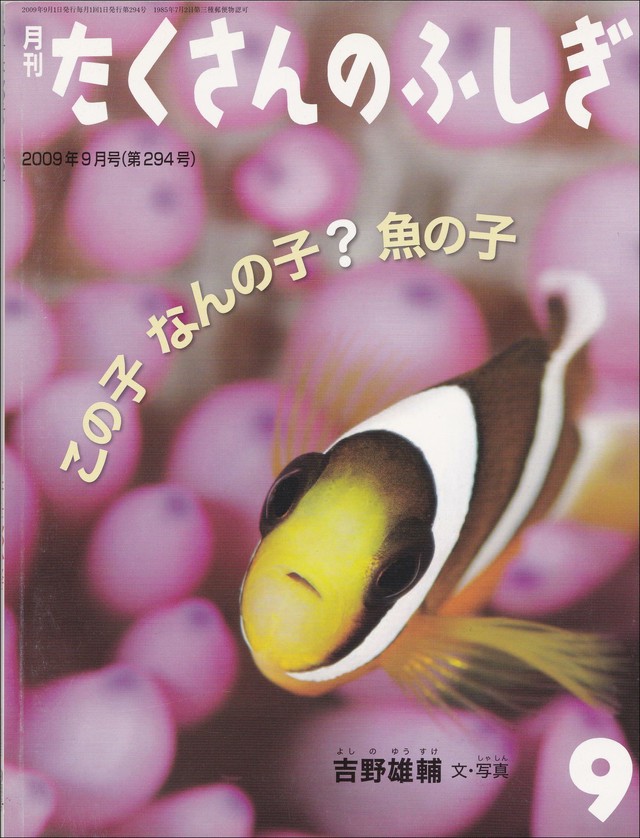 たくさんのふしぎ 09年9月 294号 この子なんの子 魚の子 吉野雄輔 文 写真 定価700円 プーの森