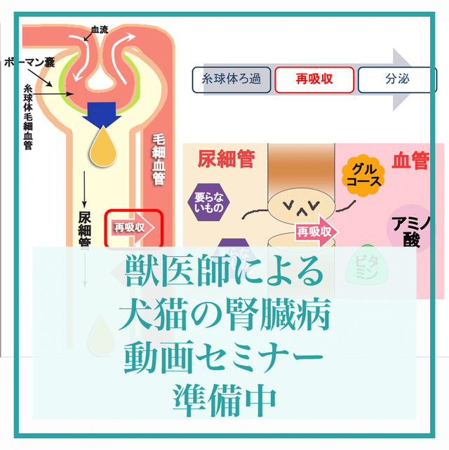 大切な新品登場 Rinajour リナジュール のファッション デニムウェスタンシャツ Womens Mens シャツ ブラウス Rinajour リナジュール セール Rinajour リナジュール のシャツ ブラウス Rinajour リナジュール デニムウェスタンシャツ