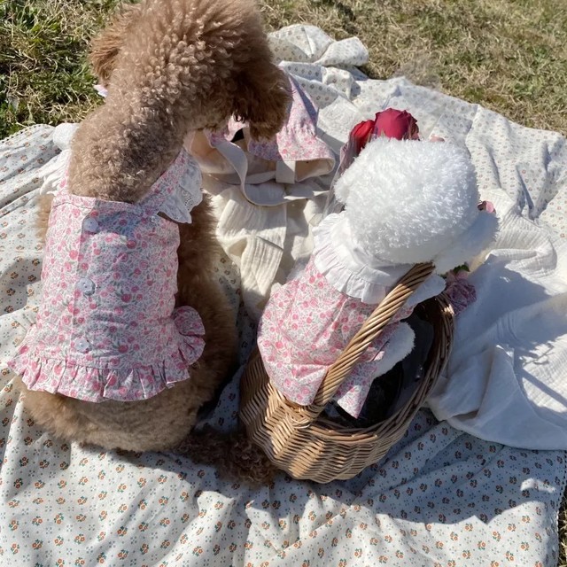 バラ柄フリルワンピース 韓国ブランド ｍｅｌｉｍｅｌｏ