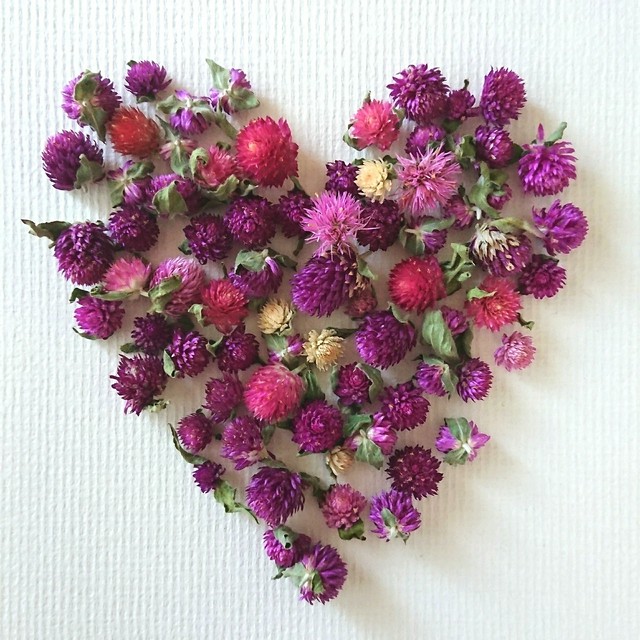 ドライフラワー 千日紅 ミックス Kyashi Mari Flowers