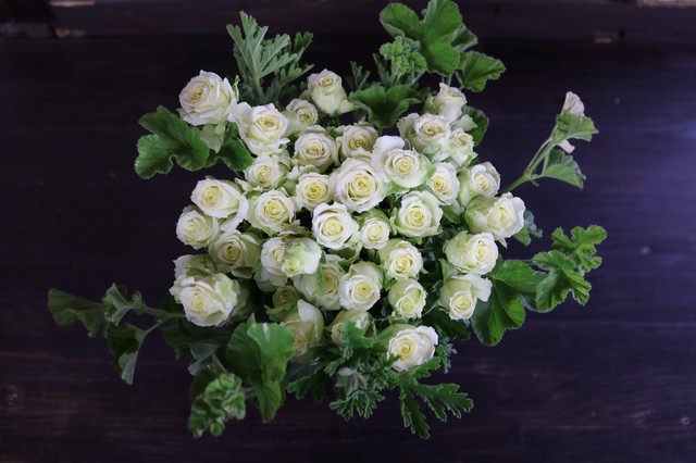 New グリーン グリーン 溢れ薔薇の花束 La Fille De La Roseraie