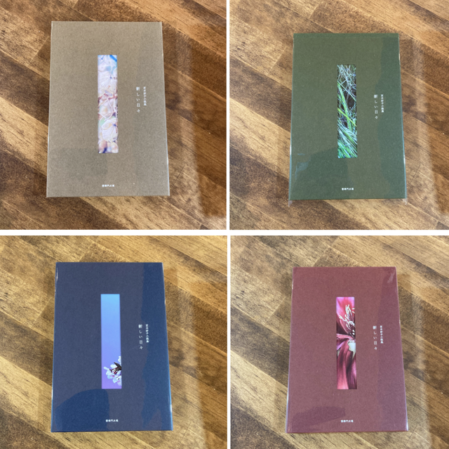 渋谷で読書会 双子のライオン堂 書店