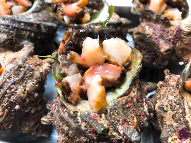 衝撃の触感 生サザエスライス済み刺身 原体100 1ℊサイズ12個パック プロトン冷凍により生食感が完全再生 出雲乃國 神鮮魚 島根fラボ Produced By Sol Japan