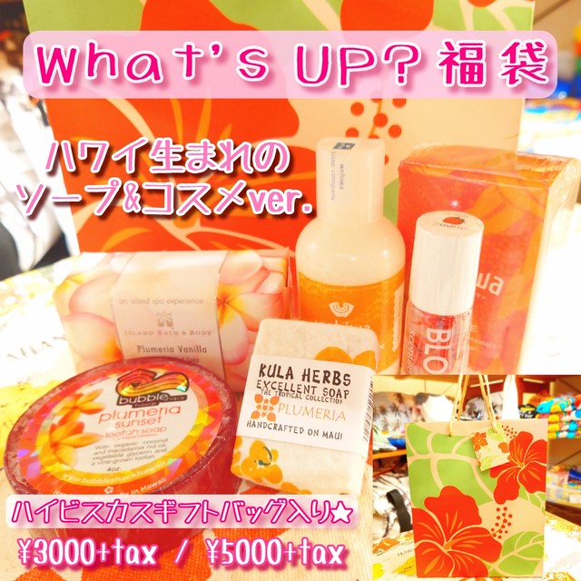 福袋 予約受付 5000ハワイアンソープ コスメ オーガニックソープ 石けん Whatsupkobe