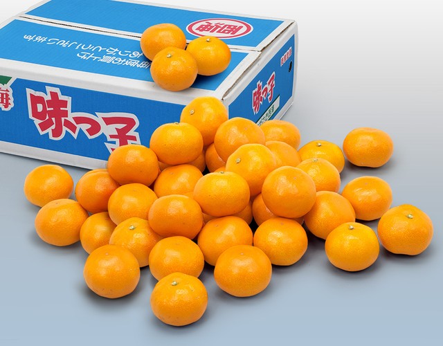 長崎県産味っ子みかん〔送料無料 詰め合わせ みかん 贈答用〕